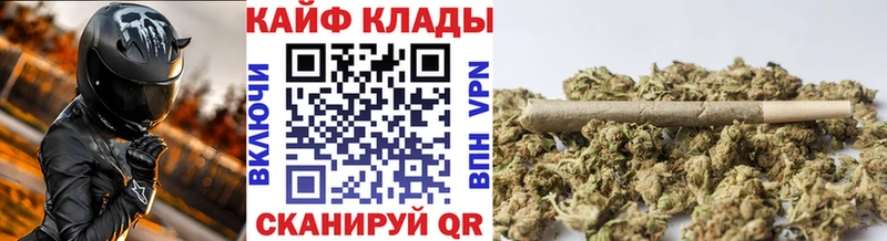 Бошки Шишки Будённовск