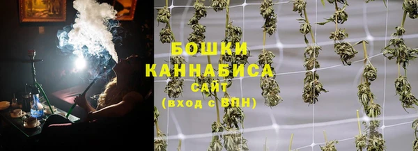 PSILOCYBIN Богородицк