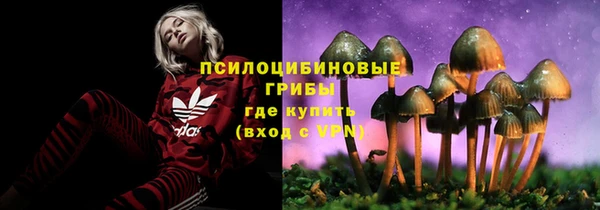 PSILOCYBIN Богородицк