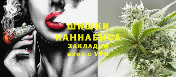PSILOCYBIN Богородицк