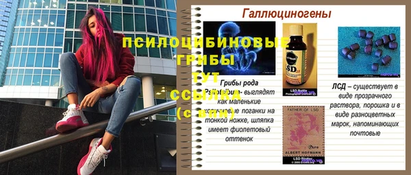 MDMA Premium VHQ Богородск