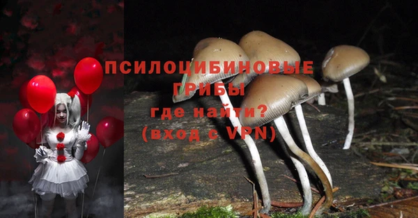 мет Богданович