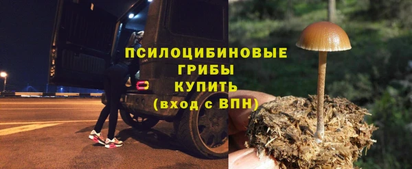 mix Белокуриха